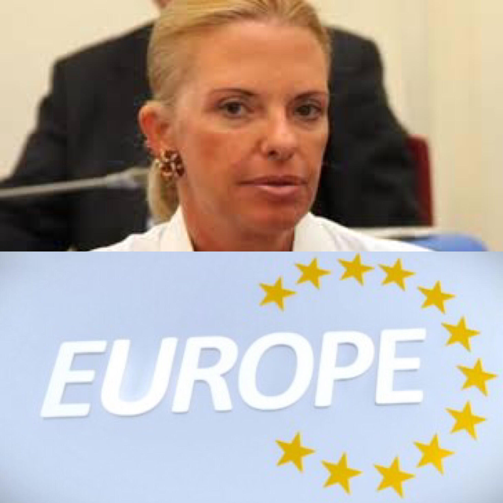Βόζεμπεργκ_ευρωβουλευτής_Europe_Μπούρα_αποτίμηση_προσφυγική_κρίση_ολομέλεια_ΕΚ_Στρασβούργο